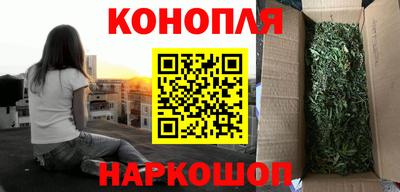гашик Лесосибирск